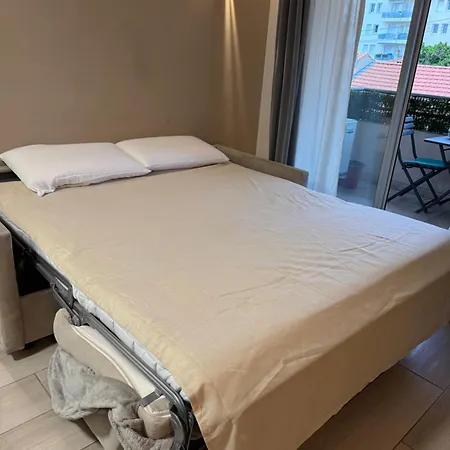 Proche De La Cannes